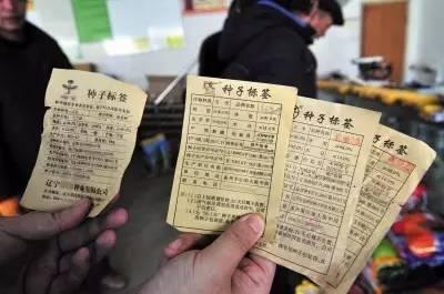 “千禾0”酱油查出镉元素对人体危害有多大？专业人士科普